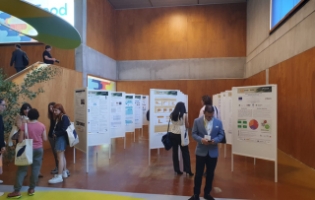 cursos agenda (42)